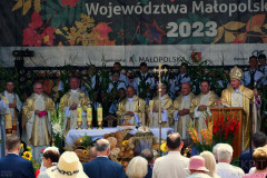 369547046_2513581032143121_2473793318124336186_n